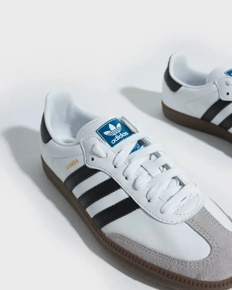 WhatsApp Image 2026-04-05 at 11.13.16 PM451.webp